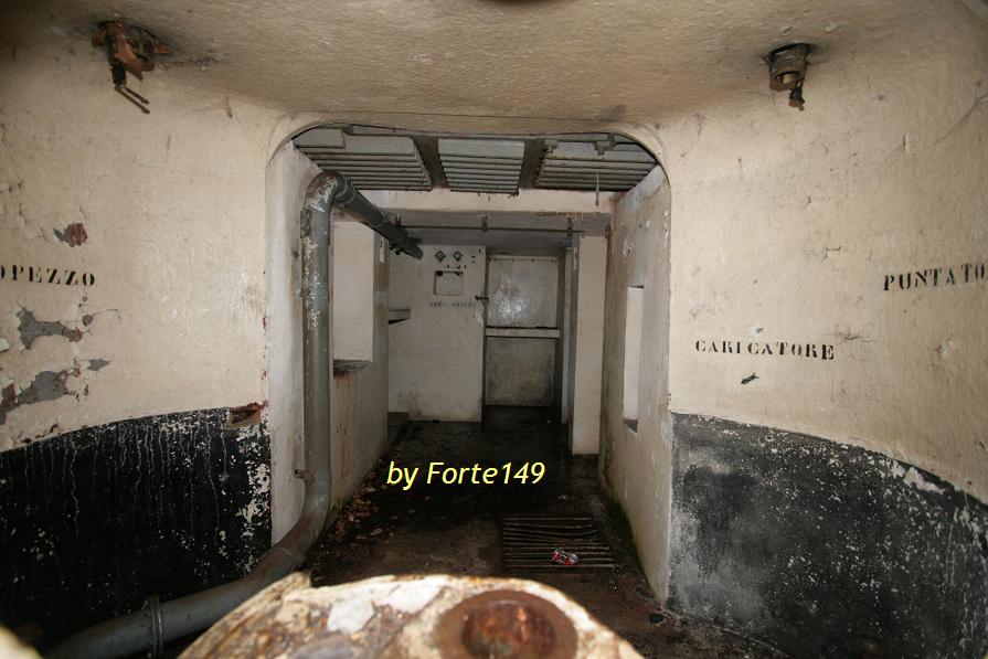carnizza2.JPG