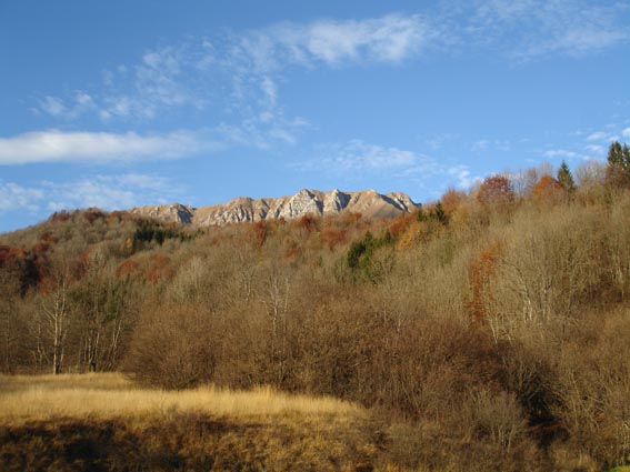 campo%20di%20bonis.jpg
