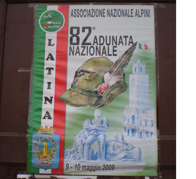latina adunata.jpg