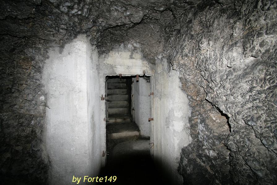 todt 007.jpg