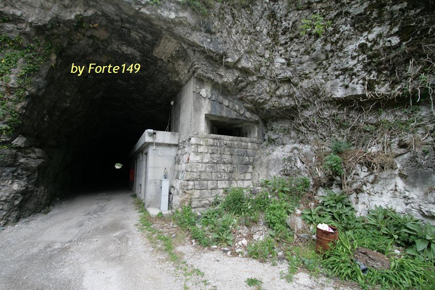 todt 008.jpg