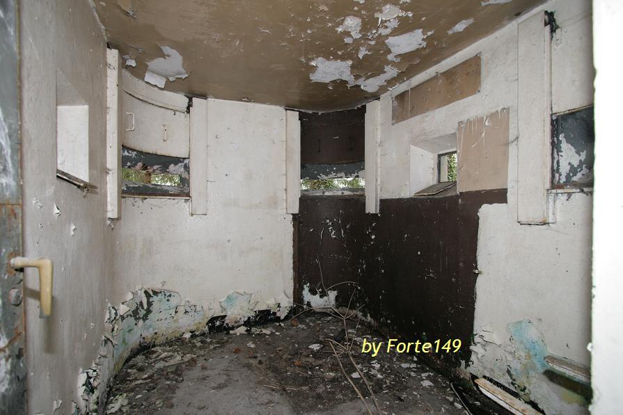 Platischis 1.JPG