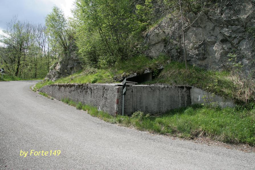platischis1.JPG