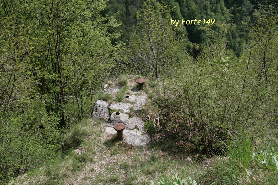 platischis3.JPG