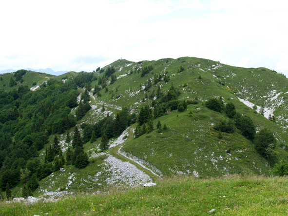 P6132242.JPG