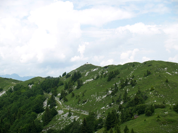 P6132243.JPG
