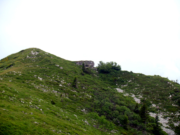 P6132246.JPG