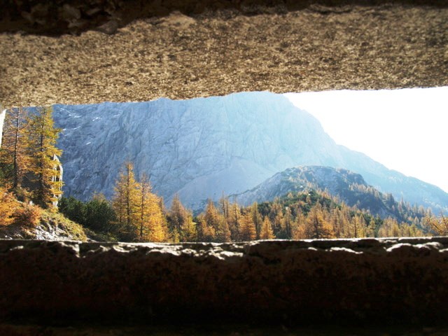 P2111568.JPG