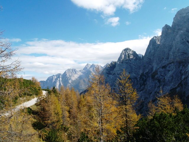 P2111577.JPG