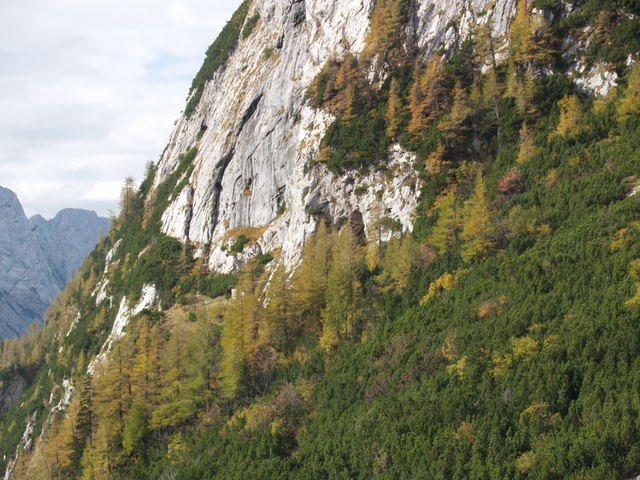 P2111507-1.JPG