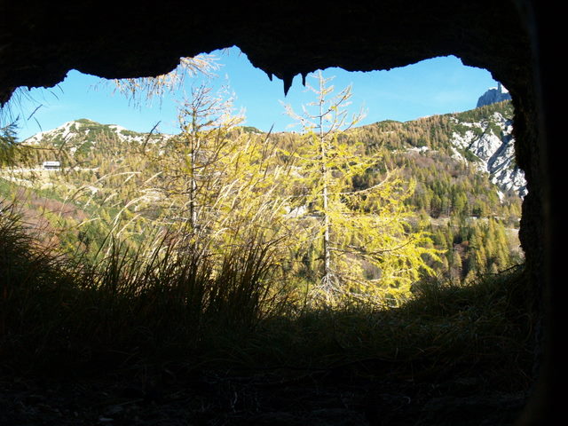 P2151838.JPG