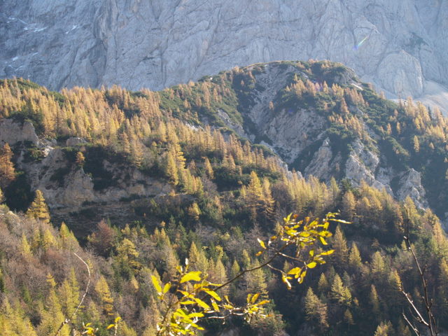 P2151768.JPG