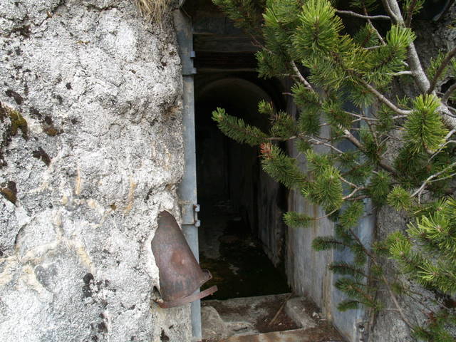 P2181933.JPG