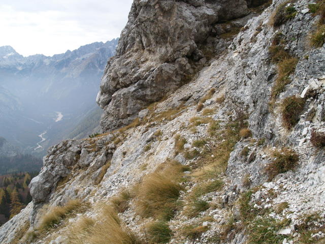 P2181934.JPG