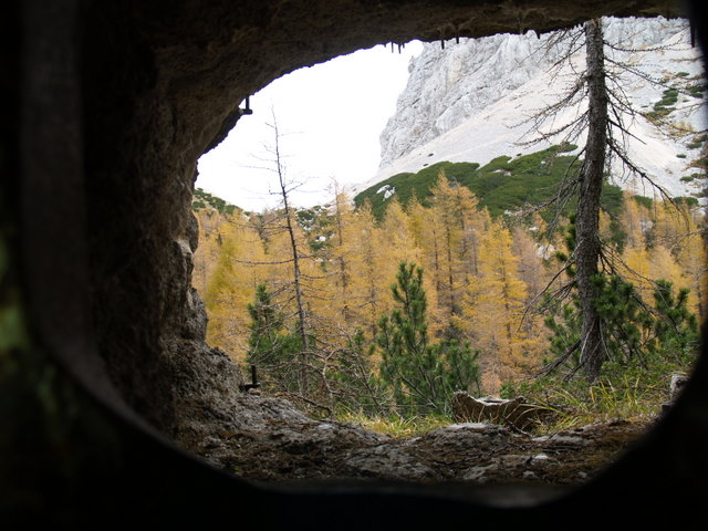 P2181954.JPG