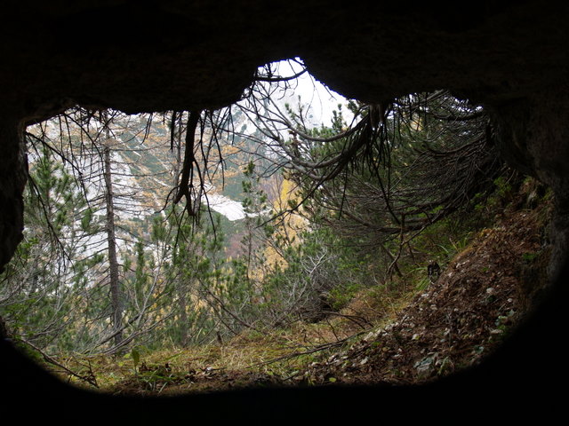 P2181978.JPG