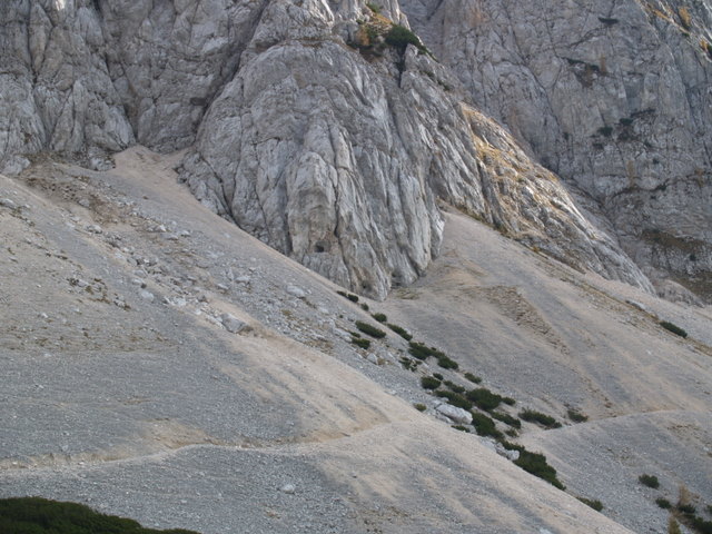 P2111647.JPG