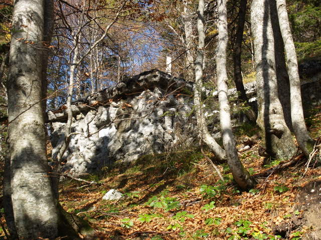 P2111666.JPG