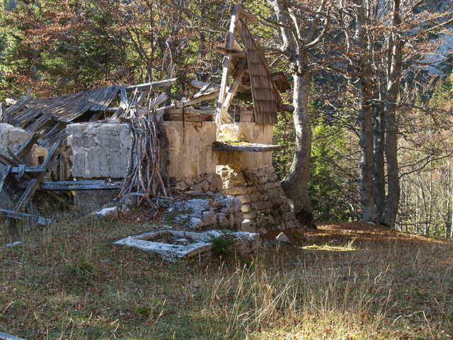 P2151865.JPG