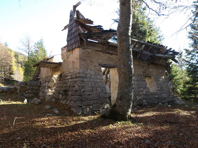 P2151866.JPG