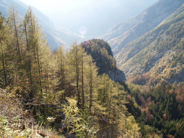 P2151871.JPG