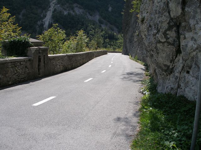 P9100038_res.jpg