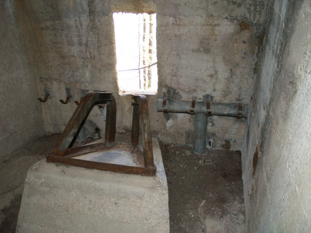 P2151805.JPG