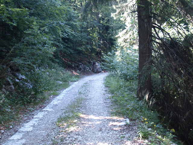 08305571.JPG