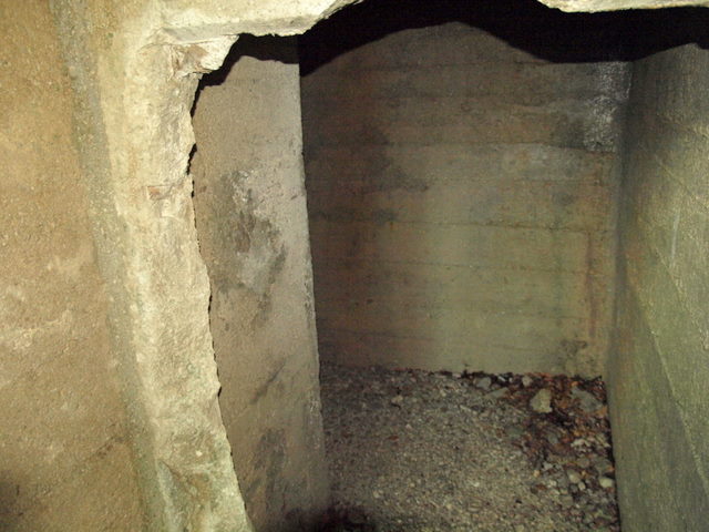 08305584.JPG