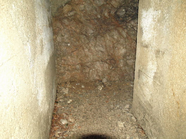 08305585.JPG