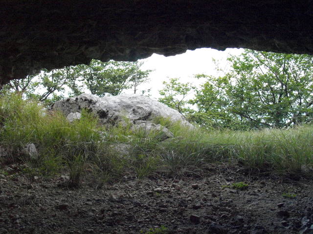 08305592.JPG