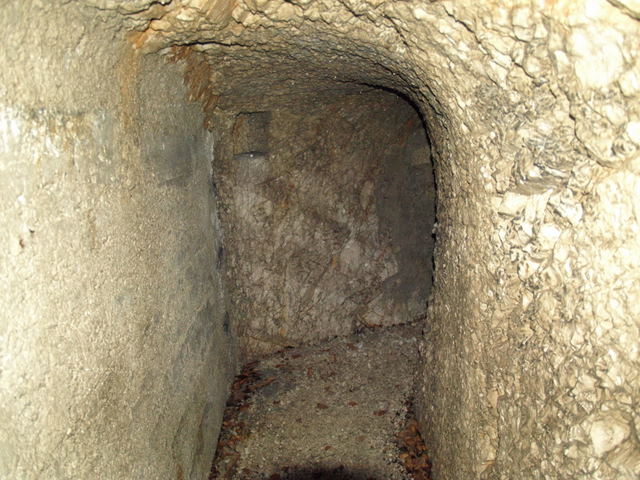 08305593.JPG