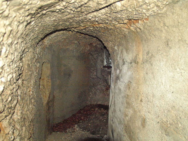 08305594.JPG