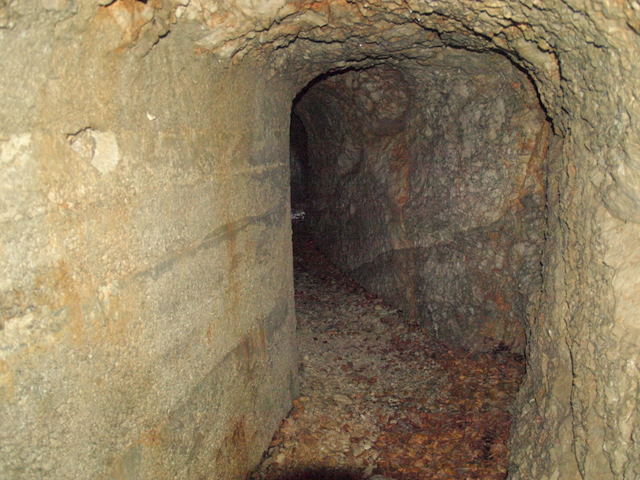 08305595.JPG