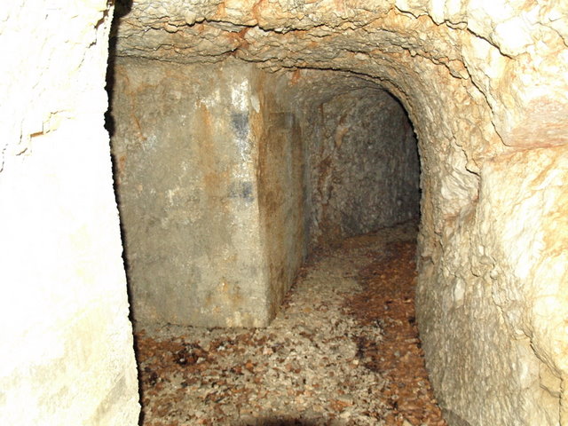 08305599.JPG