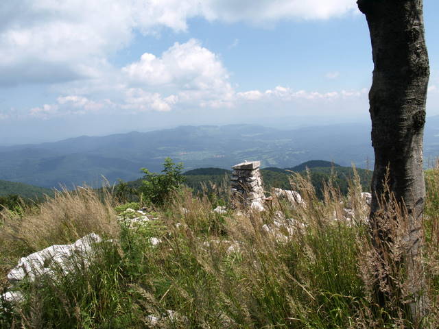 08305606.JPG