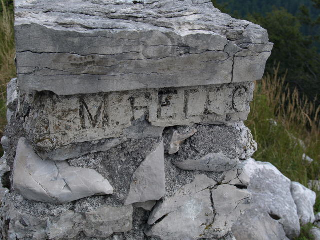 08305607.JPG