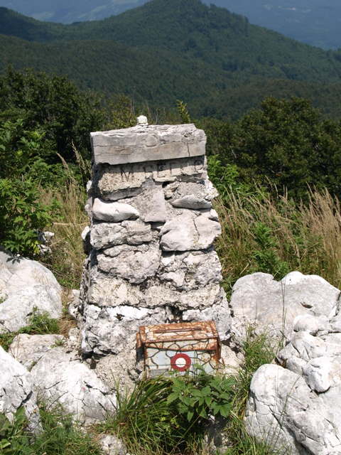 08305609.JPG