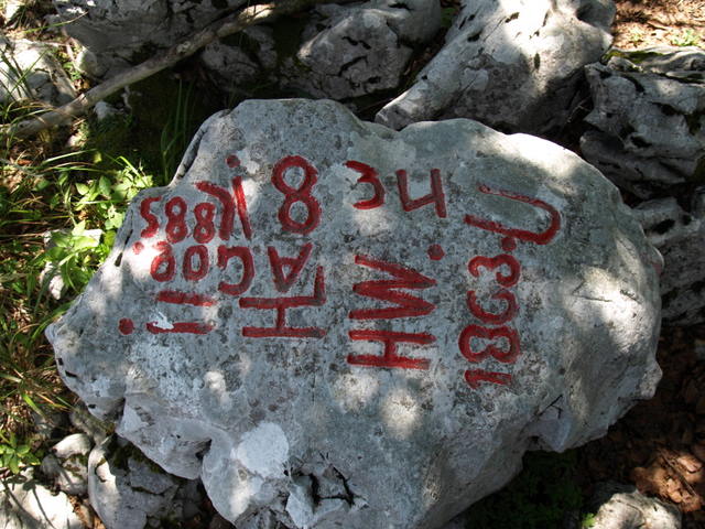 08305610.JPG