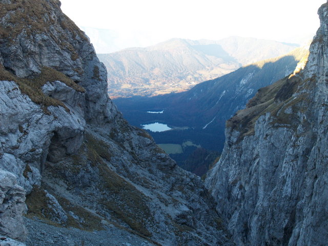 P2151878-1.JPG