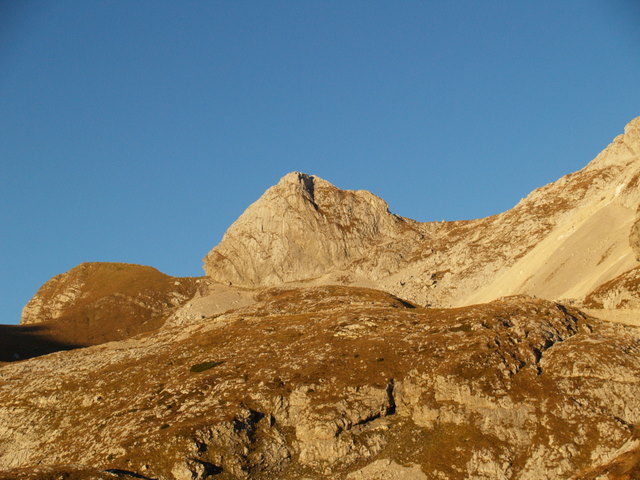 P2151888.JPG