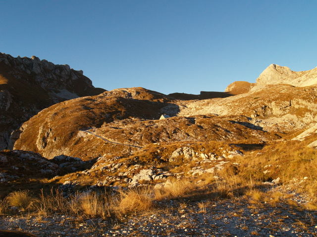 P2151889.JPG