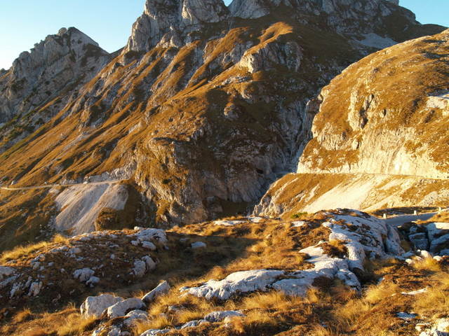 P2151890.JPG