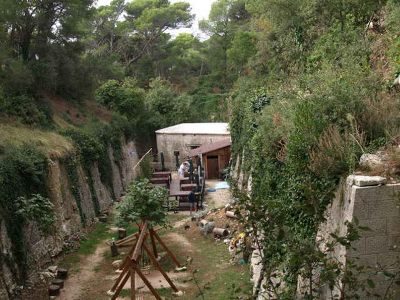 08158027.JPG