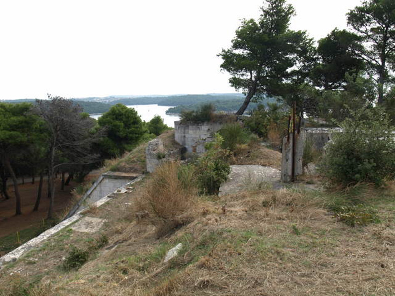 08158032.JPG