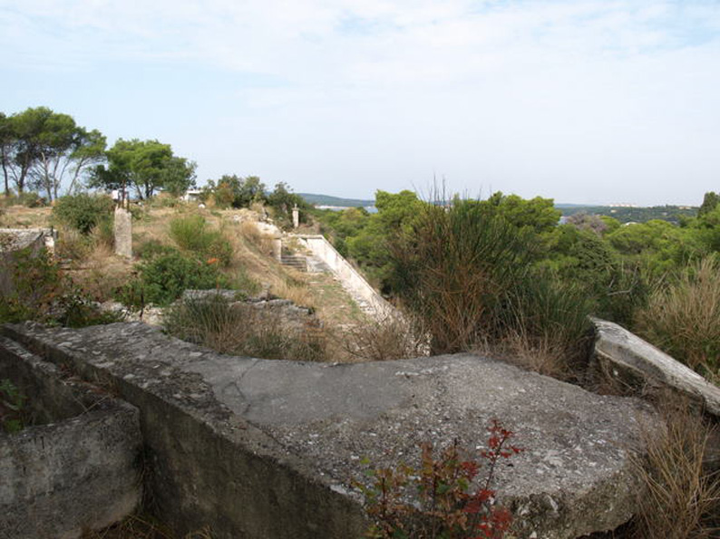 08158048.JPG