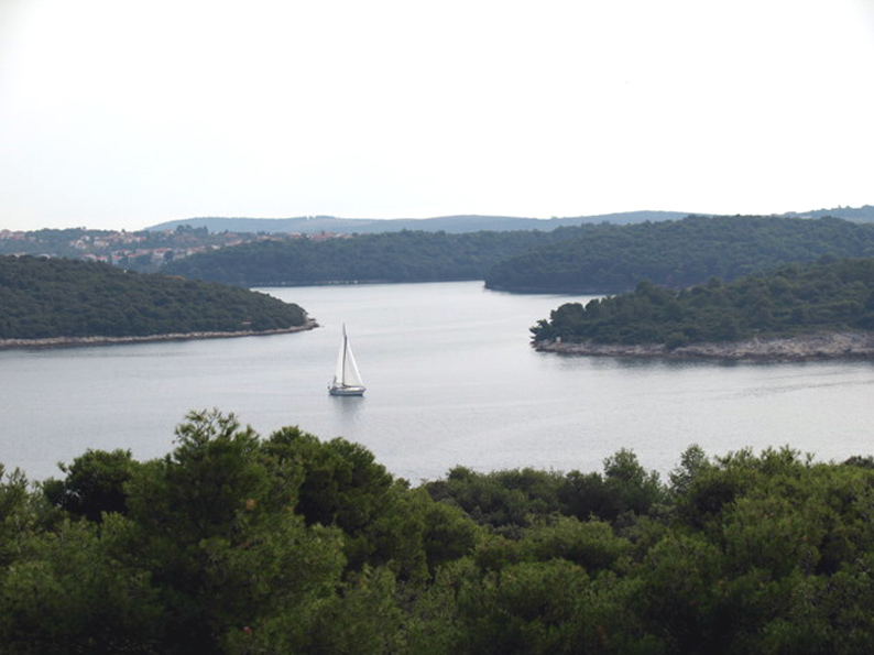 08158049.JPG