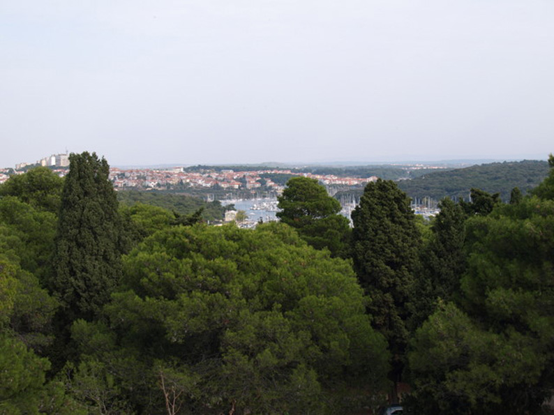 08158056.JPG