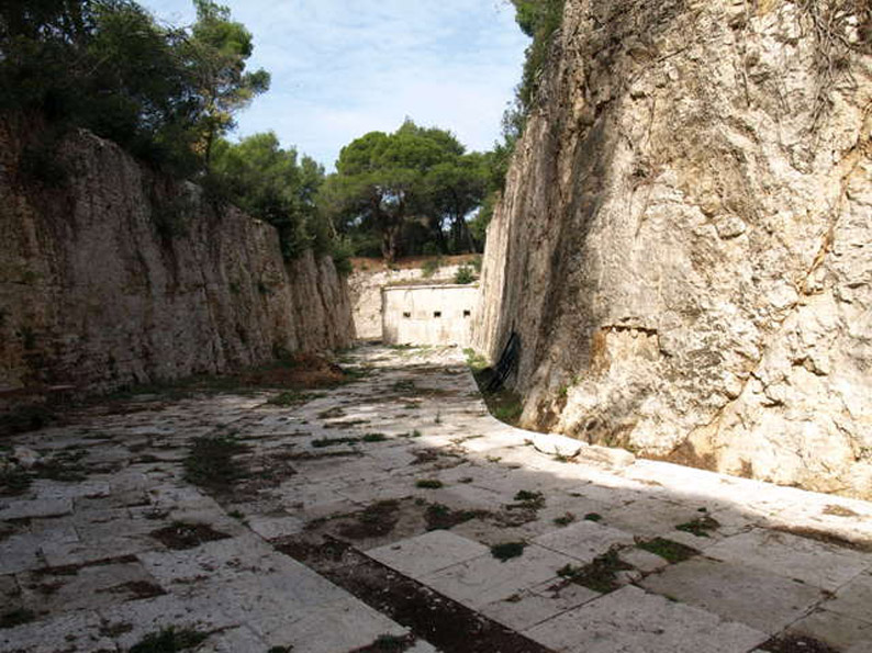 08158094.JPG