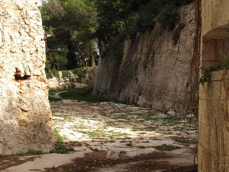 08158097.JPG